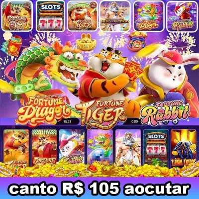 bodog site